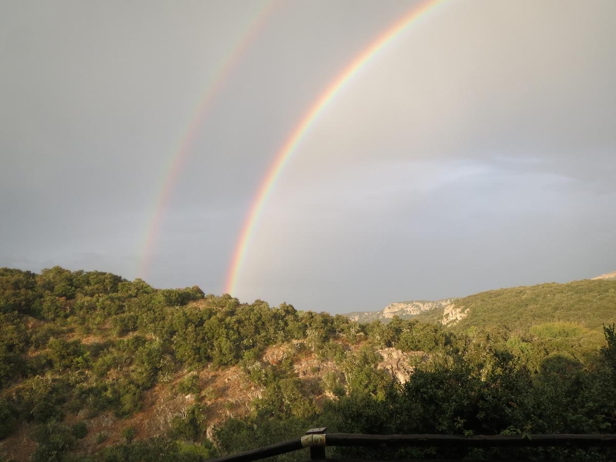 Les Hauts D'Issensac Causse-de-la-Selle Kültér fotó