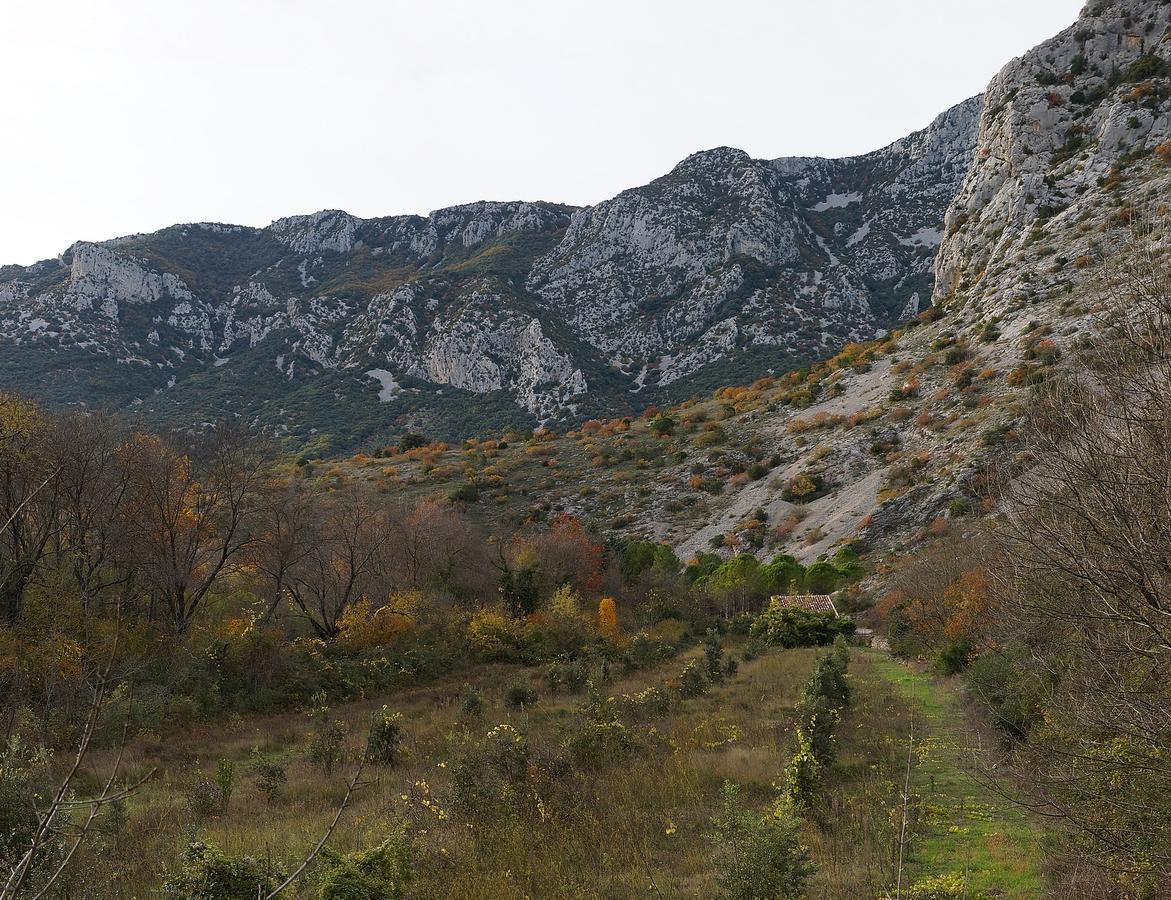 Les Hauts D'Issensac Causse-de-la-Selle Kültér fotó